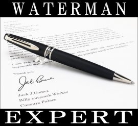 Boligrafo Waterman Expert Negro mate Ct.